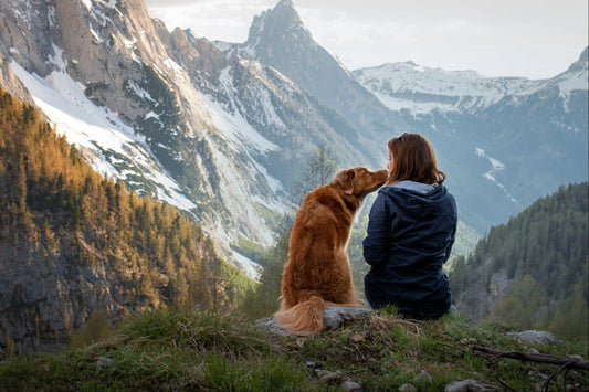 Itch less, adventure more